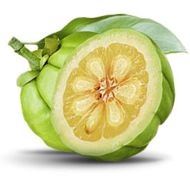 GARCINIA CAMBOGIA: PERDI PESO NATURALMENTE SENZA SOFFERENZE