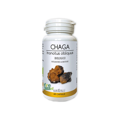 CHAGA - INONOTUS OBLIQUUS - Fungo anti-età. Regola la glicemia e la risposta immunitaria  - 60 capsule