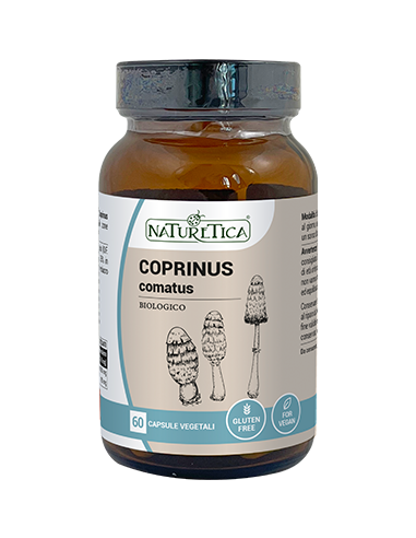 COPRINUS COMATUS - SASAKURE HITOYOTAKE - Azione ipoglicemizzante e antibatterica - 60 capsule