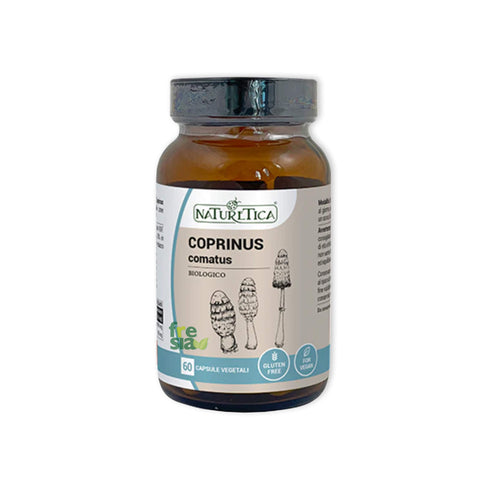 COPRINUS COMATUS - SASAKURE HITOYOTAKE – Promuove la digestione e regola la glicemia. Migliora la risposta immunitaria - 60 capsule