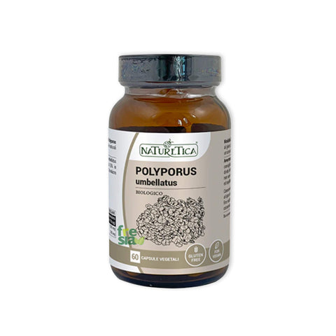 POLYPORUS UMBELLATUS – CHOREI MAITAKE - Elimina i liquidi in eccesso e riduce il gonfiore. Immunostimolante naturale – 60 capsule